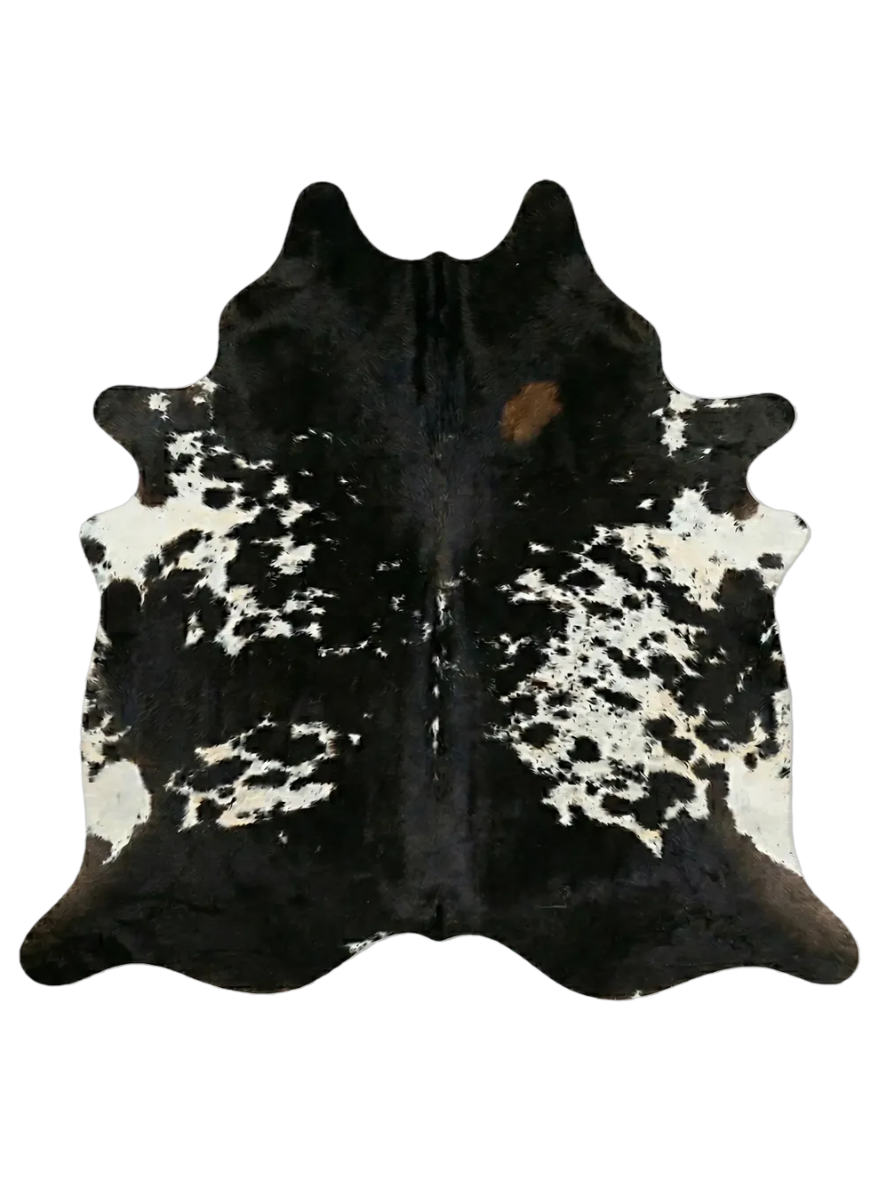 Black Speckled 1