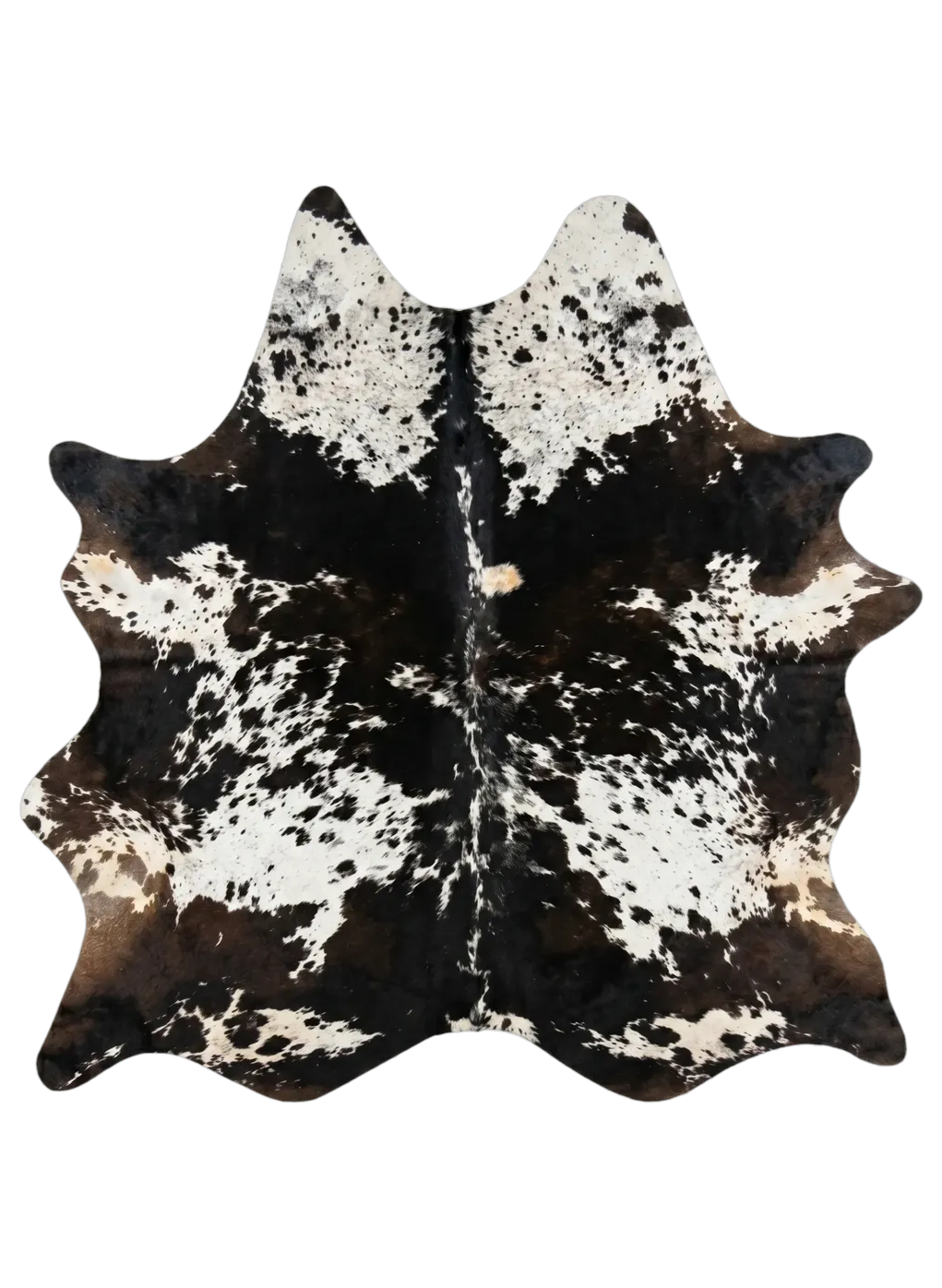 Black Speckled 1