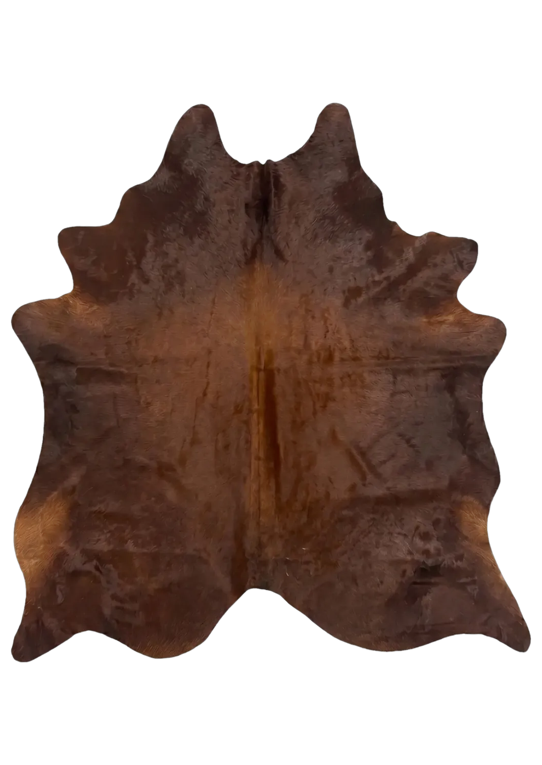 Lauren Browns Cowhide Rug 7'6" L X 6'3" W