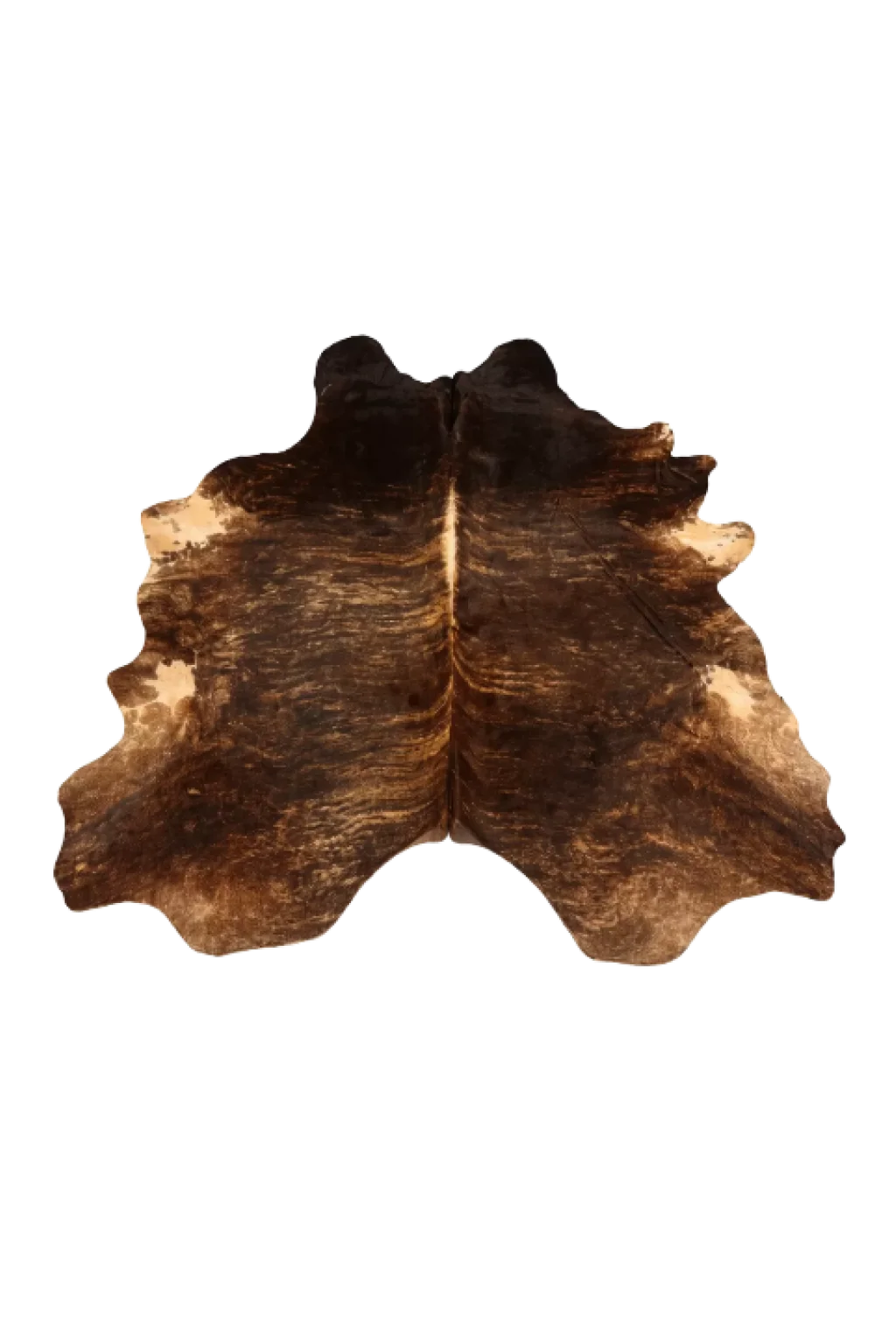 Brindle 1