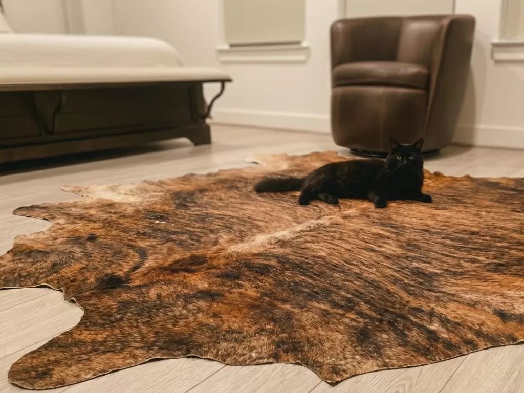 Transform Your Space